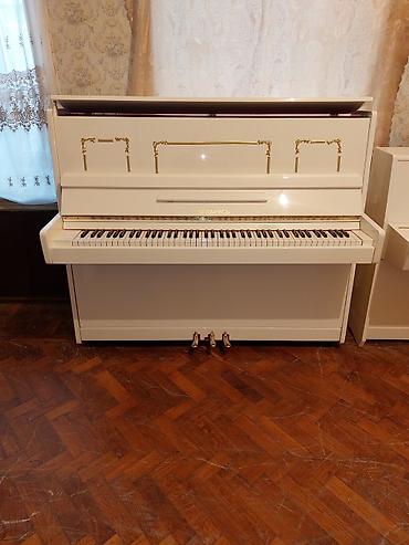 Musiqi alətləri: Piano, Belarus, Akustik, Yeni, Pulsuz çatdırılma — 2