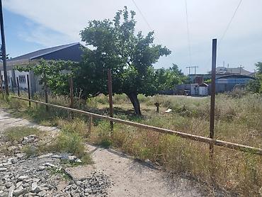 Torpaq: 4 sot, Tikinti, Mülkiyyətçi — 2