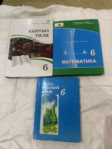 кыргыз тили 1: Кыргыз тили, 6-класс, Колдонулган, Өзү алып кетүү, Акылуу жеткирүү