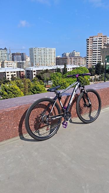 cd disk: Velosiped: Meiredi dağ velosipedi Xüsusiyyətlər: - Çərçivə — 2