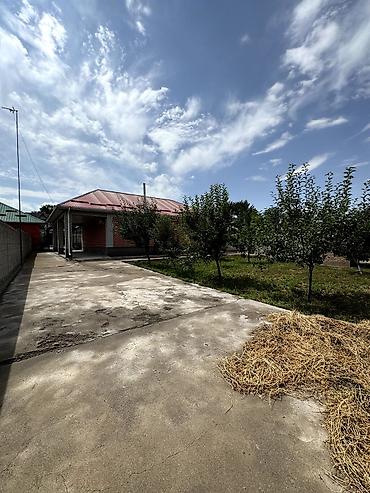 80: 📌В селе Беловодское срочно продаётся дом на участке 12 соток. ▪️Дом — 3