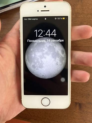 mini 4: IPhone 5 s золотой цвет - Компактный корпус 4" (Retina) - Модель — 2