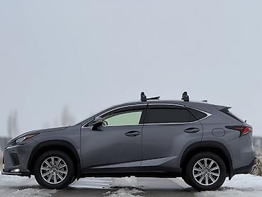 Lexus: Lexus NX: 2019 г., 2 л, Автомат, Бензин, Кроссовер — 8