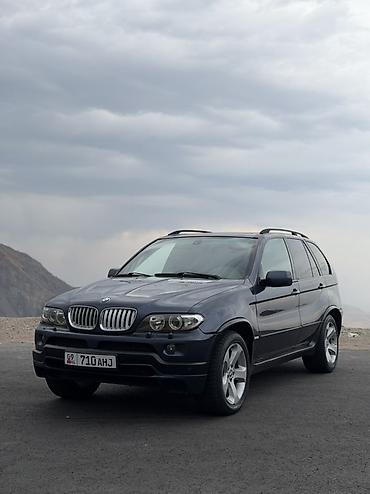 BMW X5: 2004 г., 4.4 л, Автомат, Бензин, Кроссовер
