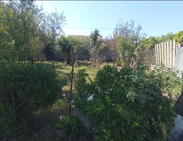 аренда продажа недвижимости: 2 sot, Tikinti, Mülkiyyətçi, Kupça (Çıxarış)