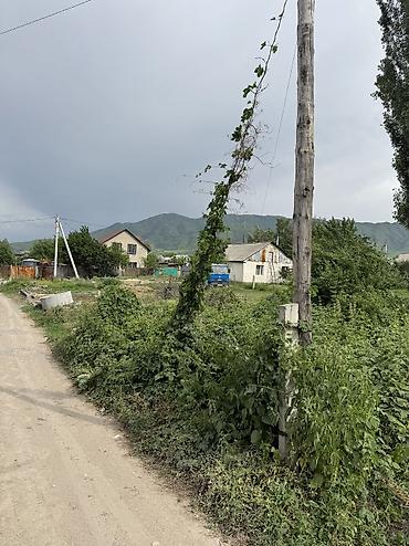 бир: 5 соток, Курулуш, Кызыл китеп — 5