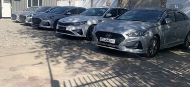 купить машину шевроле: Hyundai Sonata: 2019 г., 2 л, Автомат, Газ, Седан