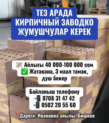 я ишу работу бишкек: Требуется Разнорабочий на производство, Оплата Ежемесячно, Без опыта