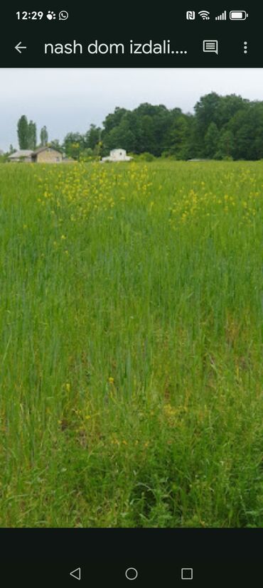 Həyət evləri və villaların satışı: 3 - ev adelni olan jalama qranicija jaxin ev satilir 3 - evin qijmət — 5