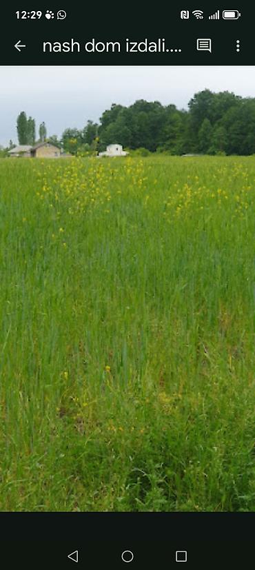 Başqa xidmətlər: Xaçmazda ev satılır. - Ünvan: Xaçmaz - Sənəd: Kupça (çıxarış) var - — 9