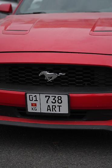 ford rapter: Ford GT: 2018 г., Автомат, Бензин, Купе — 8