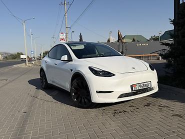 чехол на xr: Tesla Model Y: 2022 г., 0.1 л, Вариатор, Электромобиль, Кроссовер — 4