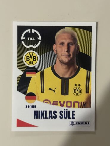 Musiqi alətləri: Nikalas SÜLE panini fifa World Cup