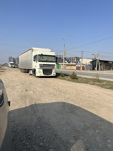 Тягачи: Тягач, DAF, 2012 г., Тентованный — 2