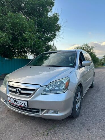odyssey 1: Honda Odyssey: 2006 г., 3.5 л, Автомат, Газ, Минивэн