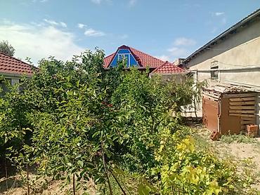 ev maştağa: Satılır:cox ideal yerde yerlesir,etrafinda demey olar hersey — 3