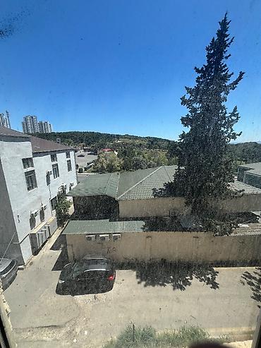 Daşınmaz əmlak: Mənzil aylıq kirayə verilir. *Şəkildə görünən əşyalar var *Yalnız — 8