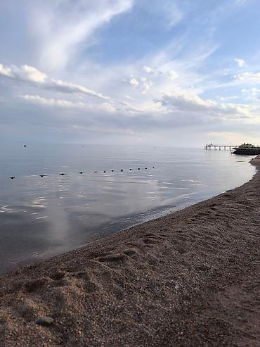 Иссык-Куль 2026: Номер, НЕПТУН Парковка, стоянка, Футбольное поле, Охраняемая территория — 6