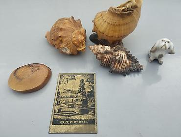 qar adamı: Dəniz mövzulu dekorativ dəst Tərkib: - 3 ədəd iri/orta ölçülü dəniz — 1
