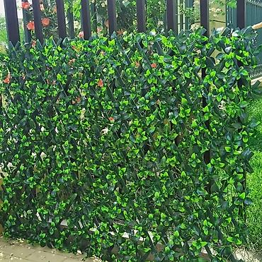 yaşıl: “Green_Line ilə Təbiətin Estetikası: Süni Sarmaşıqla Yaşıl Məkana — 5