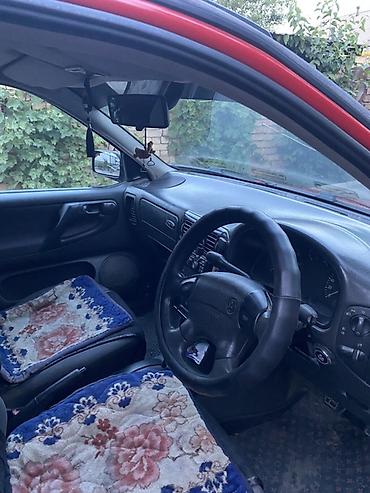 pasat b5: Volkswagen Polo: 1999 г., 1.6 л, Механика, Бензин, Хэтчбэк — 2