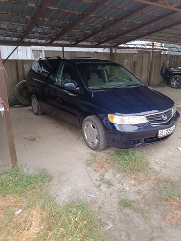 Honda: Honda Odyssey: 2003 г., 3.5 л, Автомат, Бензин, Минивэн — 6