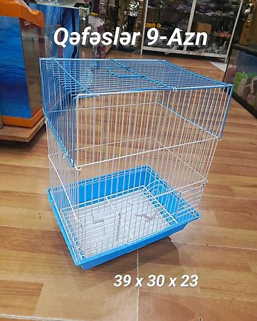 amadin qusu: Quş qəfəsləri 9-azn Ünvan Q Qarayev metrosu çıxışında Panda kids Vörd — 1