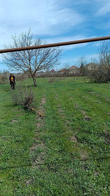 torpaq pirşağı: 10 sot, Biznes üçün, Mülkiyyətçi, Kupça (Çıxarış) — 3