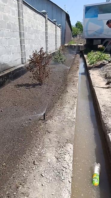 Семена газона: Семена гозона 🌱за 10 дней Из Европы 🇪🇺 производство Дания. Линейка — 4