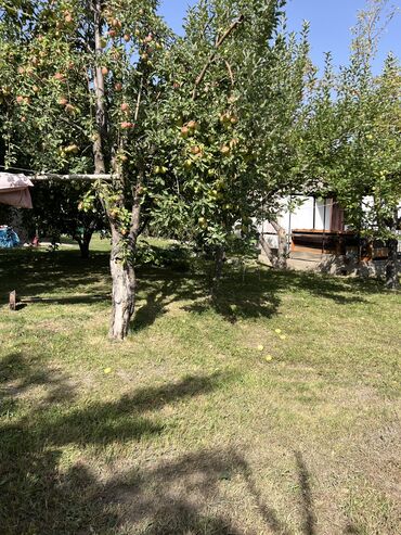 Продажа домов: Дача, 10 м², 6 комнат, Собственник, Старый ремонт — 9