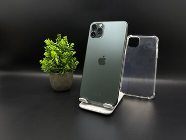 Apple iPhone: IPhone 11 Pro Max, Б/у, 256 ГБ, Зеленый, Защитное стекло, Чехол, 72 %