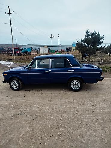 VAZ (LADA): Barter yanı balalı inəklər Qusar Quba xaçmaz ərazisində — 3