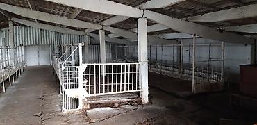 Продажа сельхозпредприятий: Farm КРС, 75 соток, Канализация, Скважина — 11
