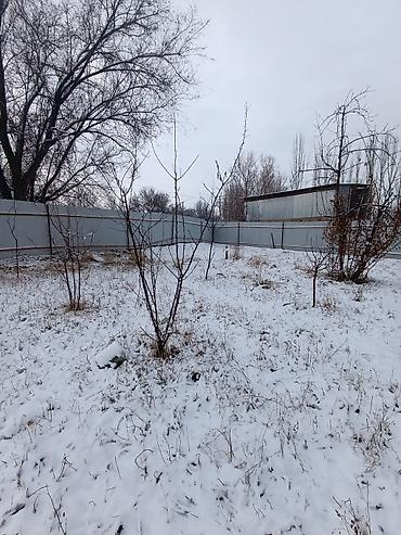 Продажа коттеджей и домов: 📌В селе Беловодское продается дом из 5-ти комнат на участке 8 соток — 19