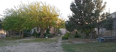yaşma bağları torpaq: 5 otaqlı, 110 kv. m, Orta təmir — 1