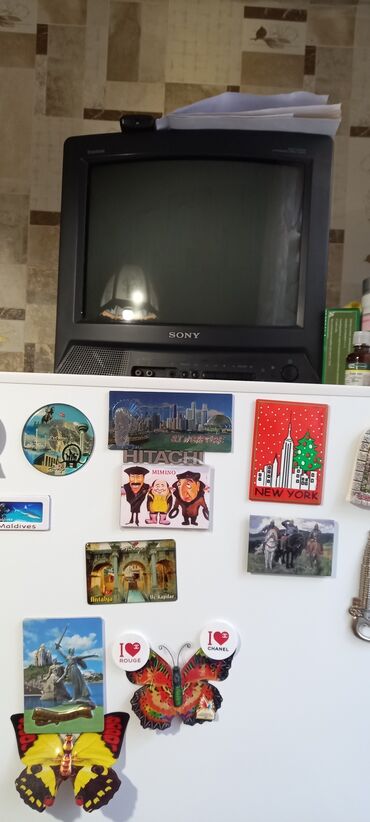 дончаки на продажу в Кыргызстан | ЛОШАДИ, КОНИ: На продажу,телевизор диагональ37,Япония