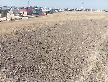 Torpaq sahələrinin satışı: 400 sot, Tikinti — 2