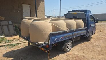 Очок: Тандыры Больше 6 лет опыта — 6