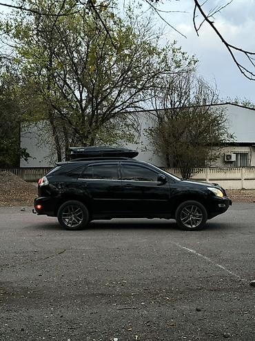 авто полироль: Lexus RX: 2003 г., 3.3 л, Автомат, Бензин, Кроссовер — 1