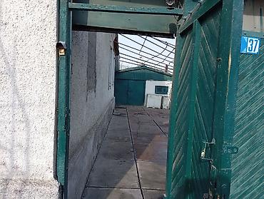 Деревянные штакетники: Деревянные штакетники, Покраска забора — 4