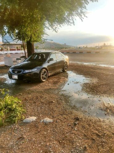 accord: Honda Accord: 2005 г., 2 л, Автомат, Бензин