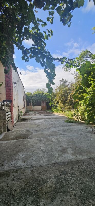 Torpaq sahələrinin satışı: 48 sot, Kənd təsərrüfatı, Kupça (Çıxarış) — 19