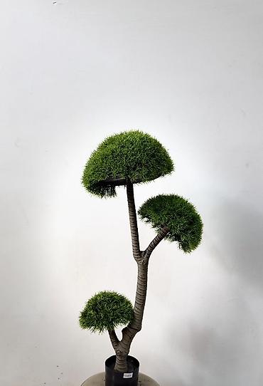 bonsai: Dekorativ süni bonsai ağacı - Realistik görünüşlü, çoxgövdəli bonsai — 4