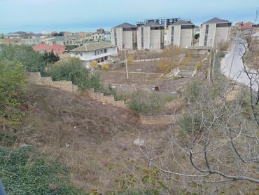 Torpaq sahələrinin satışı: 10 sot, Makler, Kupça (Çıxarış) — 12