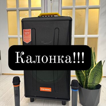 колонки том: Портативная акустическая система Feiyang, выполненная в черном цвете