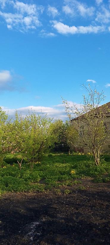 eletde torpaq satilir: 20 sot, Kənd təsərrüfatı, Mülkiyyətçi — 6