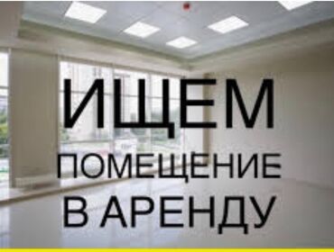 суб аренда: Офис, 60 м², С отдельным входом, С отдельным сан узлом