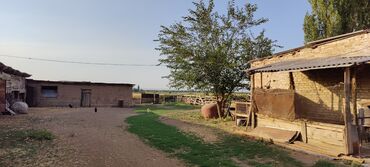 Сельхоз предприятия: Продается Кашара Фермерское- хозяйство с действующим бизнесом и с — 11