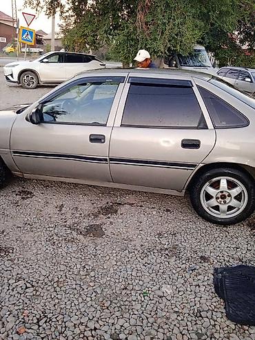 опель вектра а запчасти: Opel Vectra: 1993 г., 1.8 л, Механика, Бензин, Хэтчбэк — 3