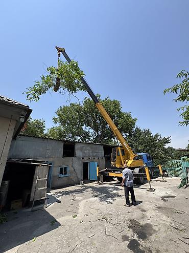 кран кемин: Стрела 21 м, 5000 т, Борт 5000 кг — 3